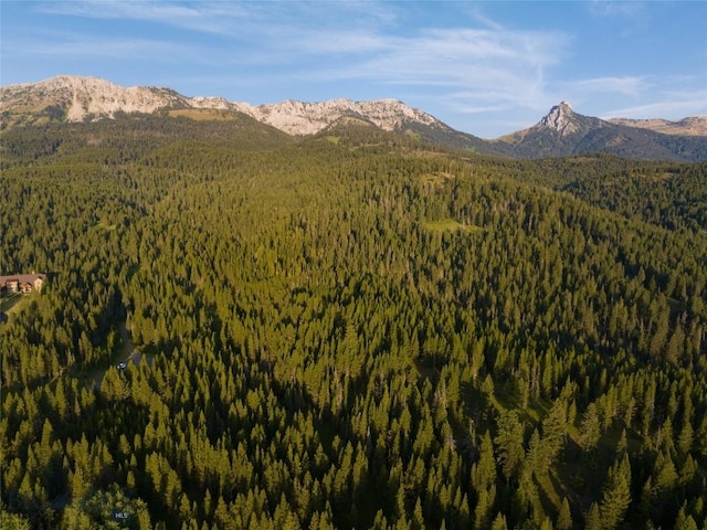 107 Winter Ln, Bozeman, MT 59715