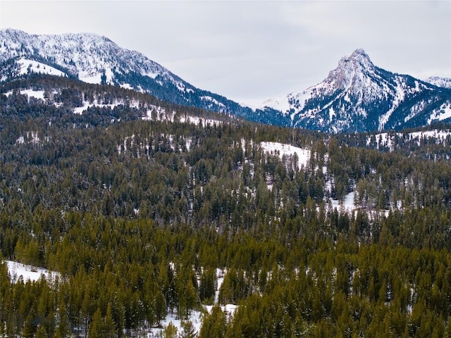 107 Winter Ln, Bozeman, MT 59715