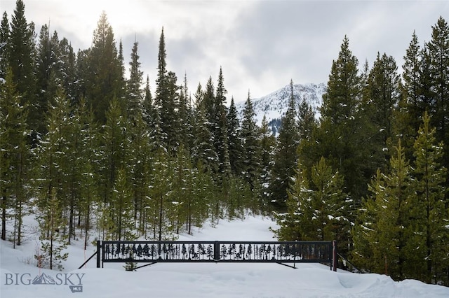 107 Winter Ln, Bozeman, MT 59715