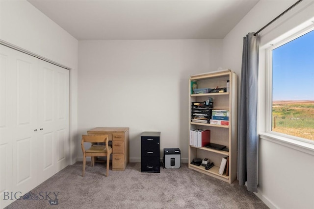 15 Santa Fe Trl, Three Forks, MT 59752 - carpeted office with plenty of natural light