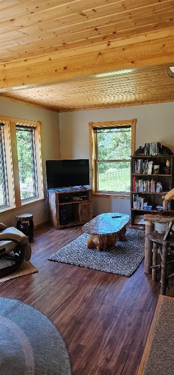 1105 S Boulder Rd, Cardwell, MT 59721 - living room featuring plenty of natural light, wood finished floors, and wood ceiling