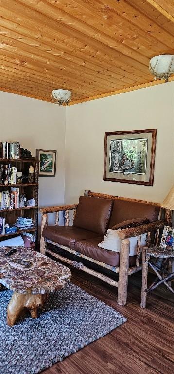 1105 S Boulder Rd, Cardwell, MT 59721 - living room with wooden ceiling and wood finished floors