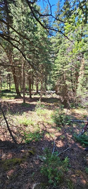1105 S Boulder Rd, Cardwell, MT 59721 - view of tree filled area