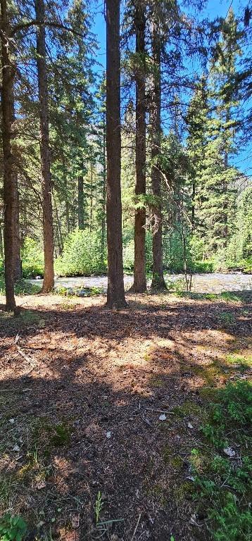 1105 S Boulder Rd, Cardwell, MT 59721 - view of tree filled area