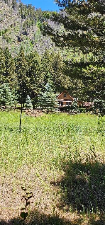 1105 S Boulder Rd, Cardwell, MT 59721 - view of yard with a forest view