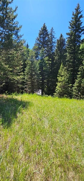 1105 S Boulder Rd, Cardwell, MT 59721 - view of yard with a wooded view
