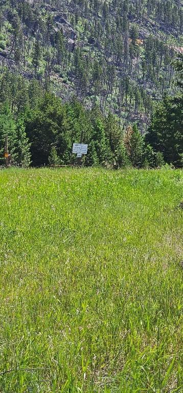 1105 S Boulder Rd, Cardwell, MT 59721 - view of yard