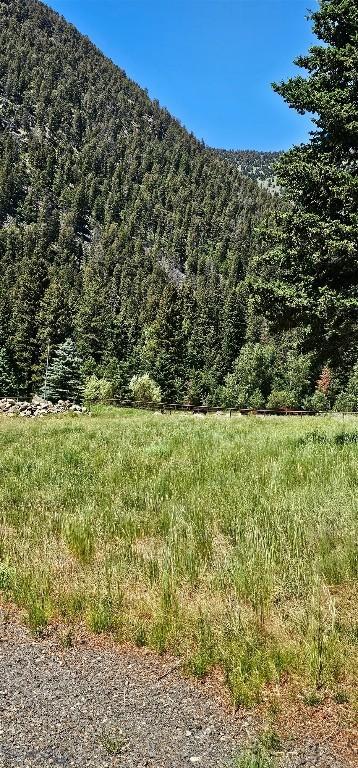 1105 S Boulder Rd, Cardwell, MT 59721 - view of mountain background featuring a heavily wooded area