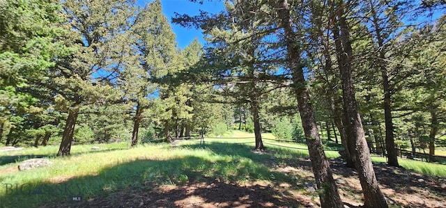 1105 S Boulder Rd, Cardwell, MT 59721 - view of local wilderness