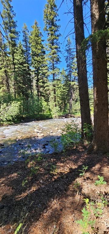 1105 S Boulder Rd, Cardwell, MT 59721 - view of local wilderness