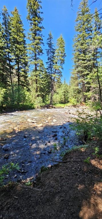 1105 S Boulder Rd, Cardwell, MT 59721 - view of yard with a view of trees