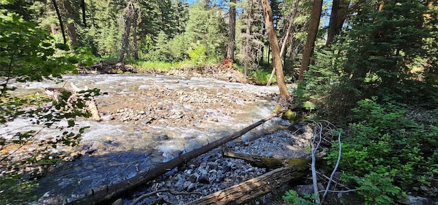 1105 S Boulder Rd, Cardwell, MT 59721 - view of woods