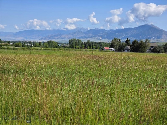 8050 S Leverich Rd, Bozeman, MT 59715 - photo 5
