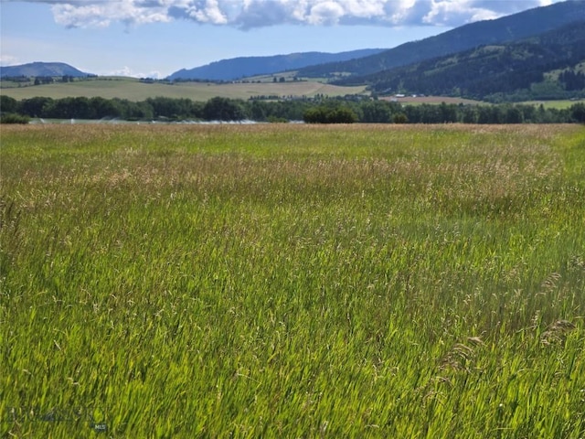 8050 S Leverich Rd, Bozeman, MT 59715 - photo 7