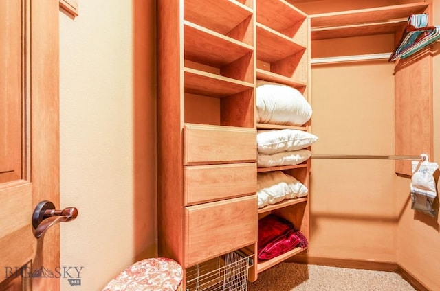 953 Angel Point Rd, Lakeside, MT 59922 - walk in closet with carpet flooring