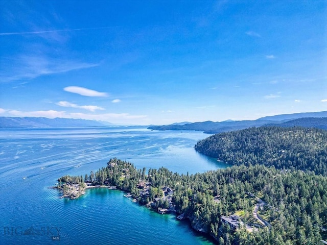 953 Angel Point Rd, Lakeside, MT 59922 - bird's eye view of a water and mountain view