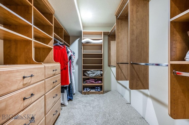 953 Angel Point Rd, Lakeside, MT 59922 - spacious closet with carpet floors