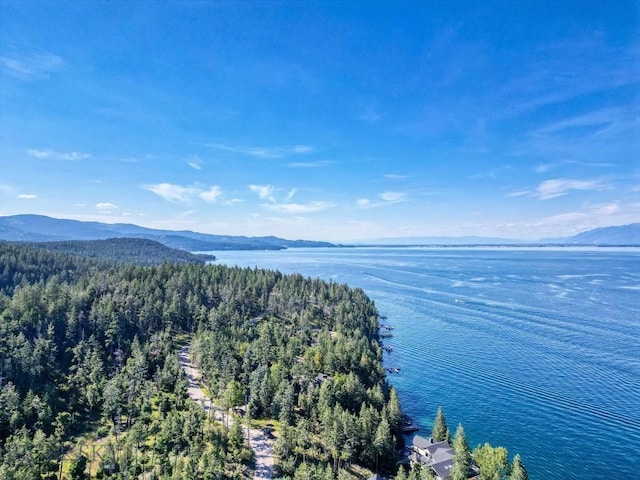 953 Angel Point Rd, Lakeside, MT 59922 - aerial view of a forest and a water and mountain view