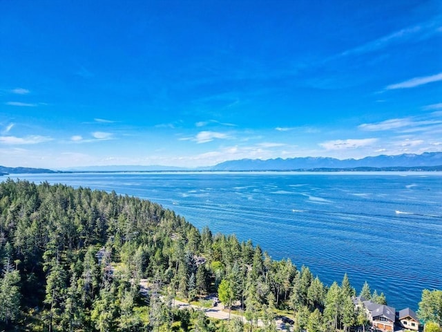 953 Angel Point Rd, Lakeside, MT 59922 - bird's eye view of a water and mountain view