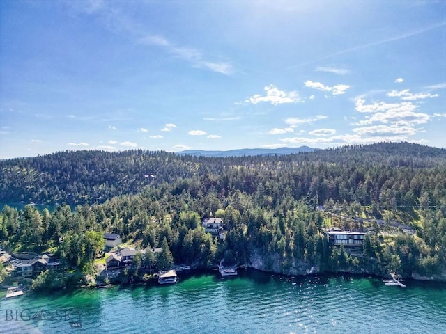 953 Angel Point Rd, Lakeside, MT 59922 - aerial view of a heavily wooded area and a water and mountain view