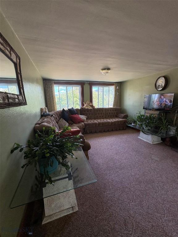 111 N Division, Whitehall, MT 59759 - photo 17