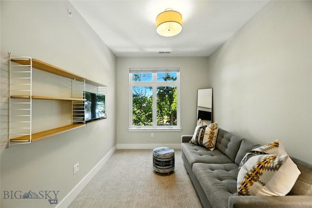 104 N Church Unit 2B, Bozeman, MT 59715 - photo 29