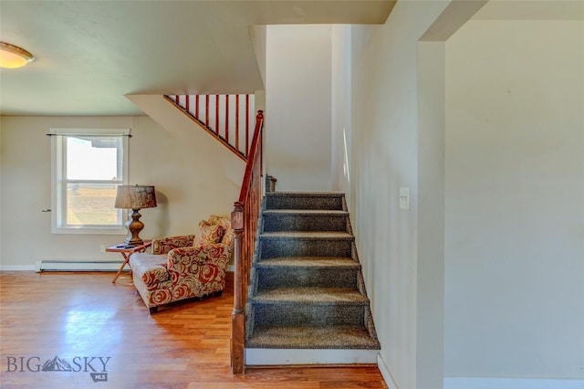 310 Hannaford St S, Wilsall, MT 59086 - photo 19