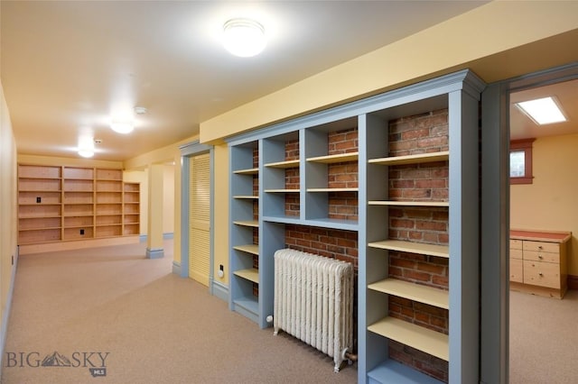 319 S 3rd Ave, Bozeman, MT 59715 - photo 33
