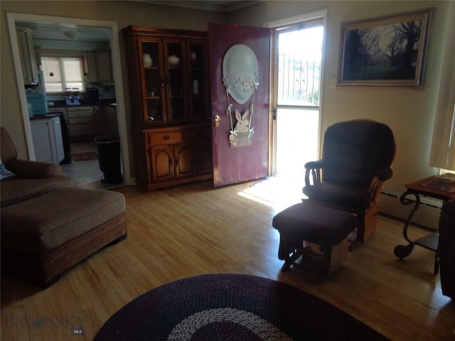 120 Balsam St, Anaconda, MT 59711 - living area featuring baseboard heating, light wood-style flooring, and ornamental molding