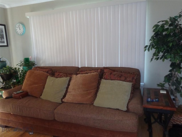 120 Balsam St, Anaconda, MT 59711 - living room featuring wood finished floors