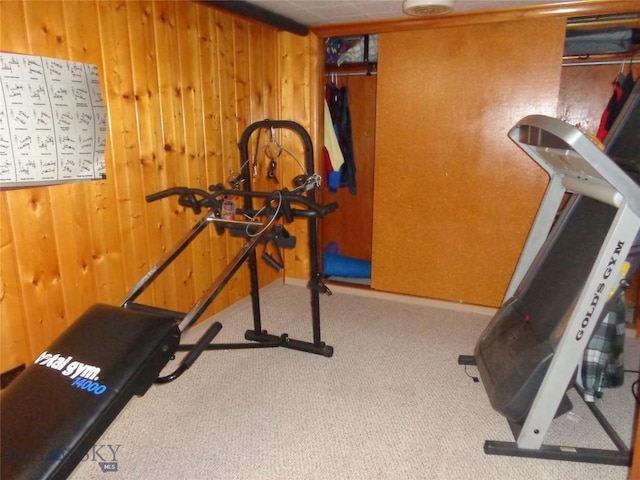 120 Balsam St, Anaconda, MT 59711 - workout room featuring carpet and wood walls