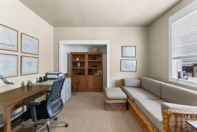 3141 Spring Ridge Dr, Bozeman, MT 59715 - photo 48