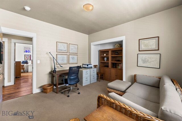 3141 Spring Ridge Dr, Bozeman, MT 59715 - photo 49