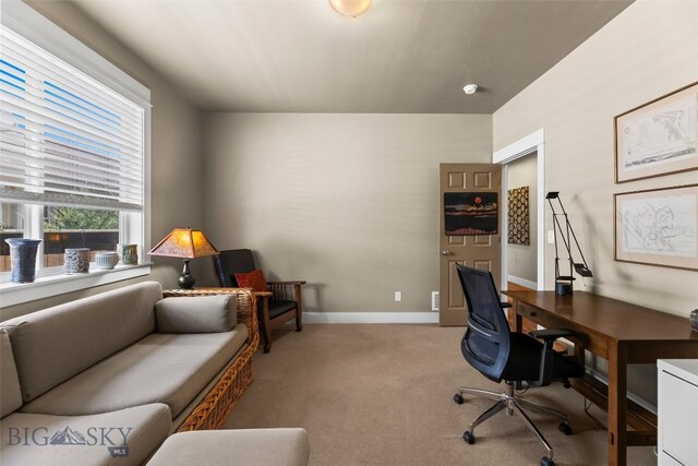 3141 Spring Ridge Dr, Bozeman, MT 59715 - photo 50