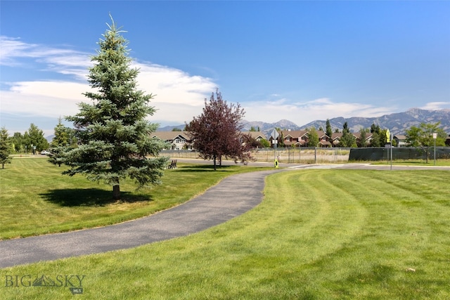224 S Hanley Ave, Bozeman, MT 59718 - photo 49