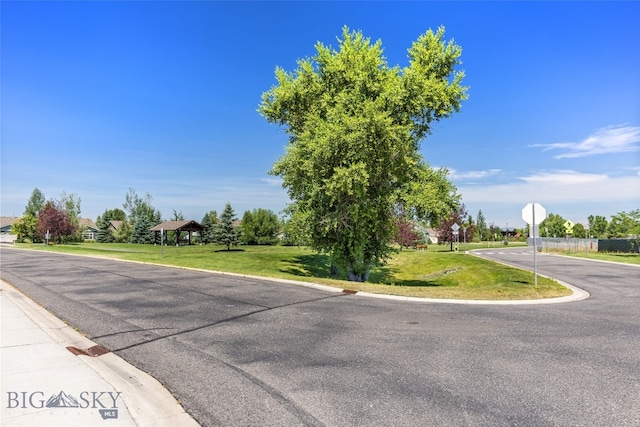 224 S Hanley Ave, Bozeman, MT 59718 - photo 45