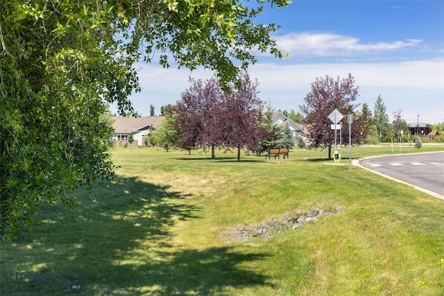 224 S Hanley Ave, Bozeman, MT 59718 - photo 47