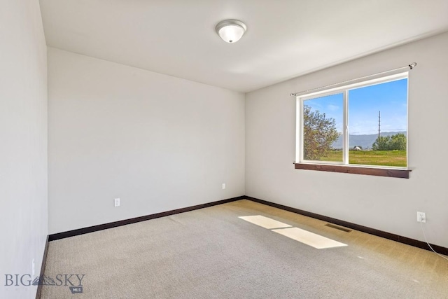 343 Stewart Loop, Bozeman, MT 59718 - empty room with carpet floors and baseboards