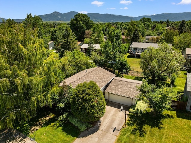 504 Morrow St, Bozeman, MT 59715 - photo 46