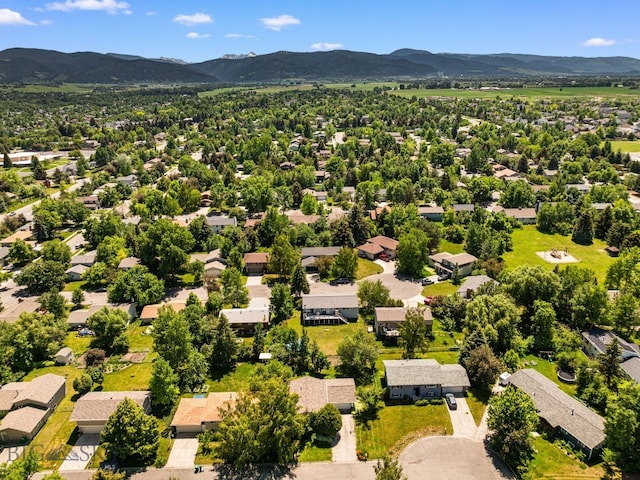 504 Morrow St, Bozeman, MT 59715 - photo 52