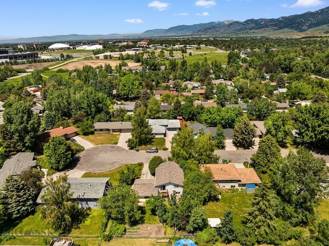 504 Morrow St, Bozeman, MT 59715 - photo 53