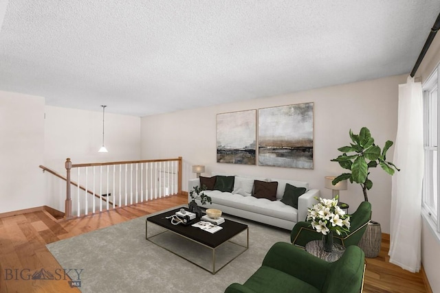 504 Morrow St, Bozeman, MT 59715 - photo 7