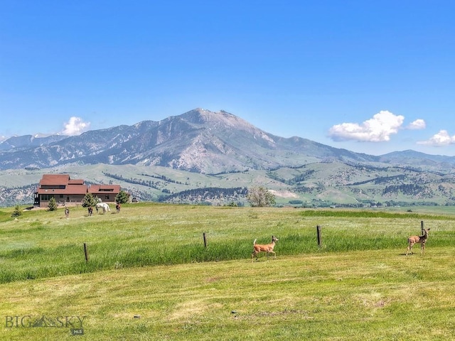 168 Hawthorn Ln, Bozeman, MT 59715 - photo 67