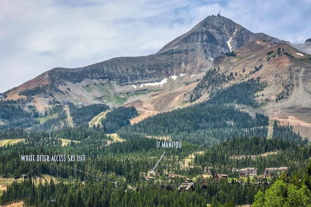17 Manitou Loop, Big Sky, MT 59716 - photo 5
