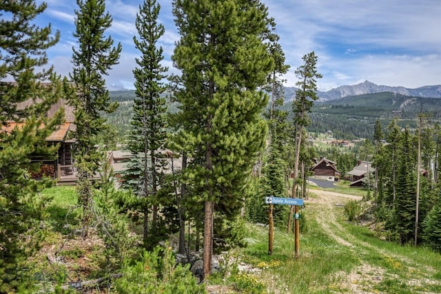 17 Manitou Loop, Big Sky, MT 59716 - photo 38