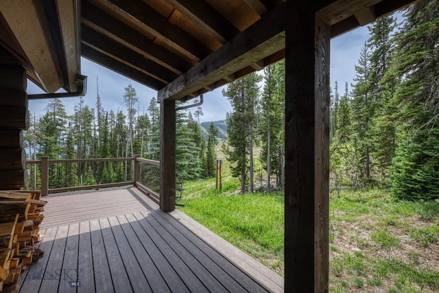 17 Manitou Loop, Big Sky, MT 59716 - photo 40