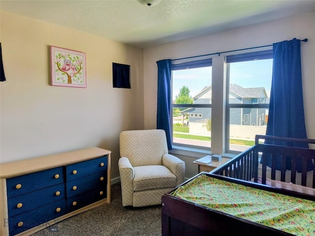156 Stephanie Ln, Bozeman, MT 59718 - photo 23