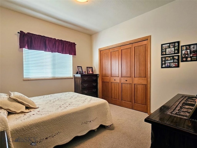 215 Eagle Creek Dr, Bozeman, MT 59718 - photo 19