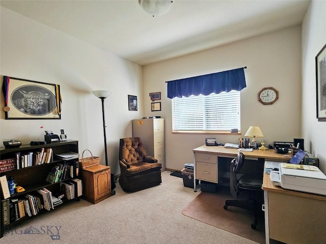215 Eagle Creek Dr, Bozeman, MT 59718 - photo 22