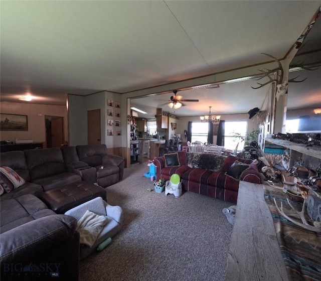 1643 Webster, Dillon, MT 59725 - photo 12